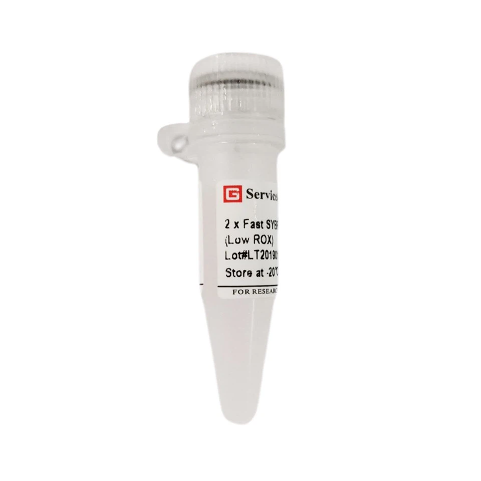 2 × Fast SYBR Green QPCR Master Mix (Low ROX)