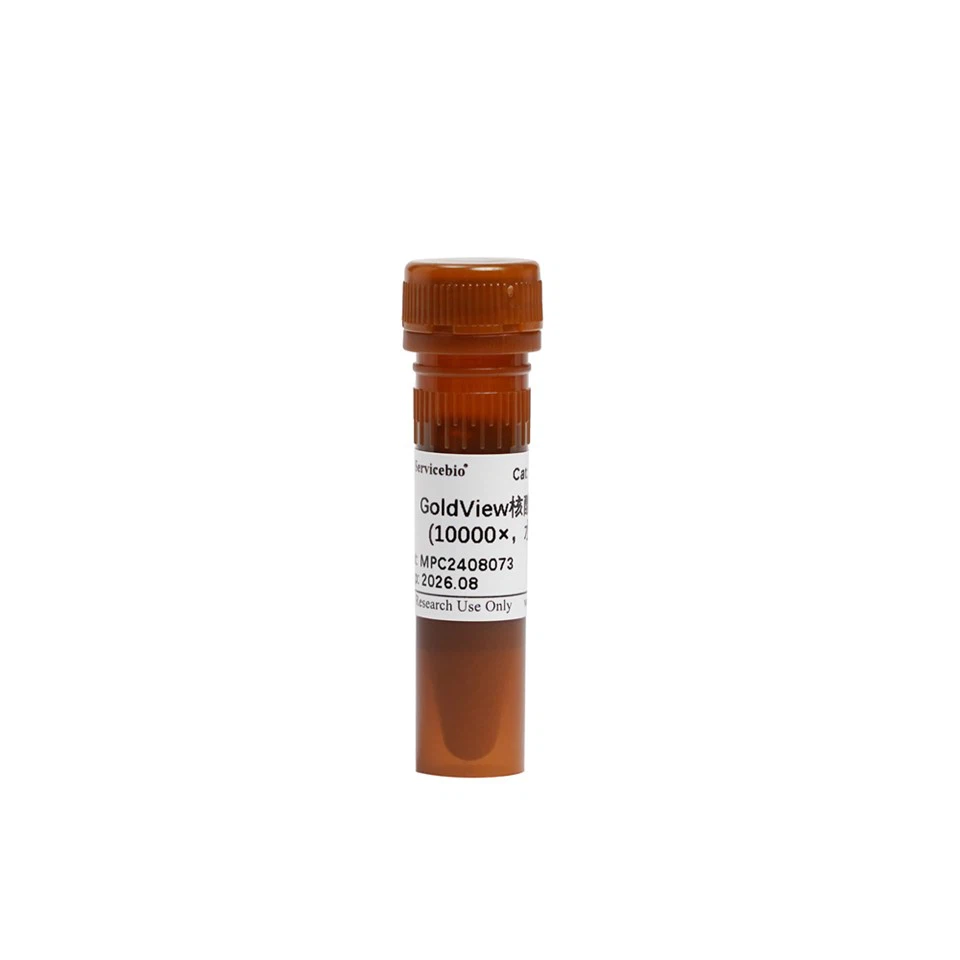 GoldView Nucleic Acid Dye (10 000×, rozpustné ve vodě)