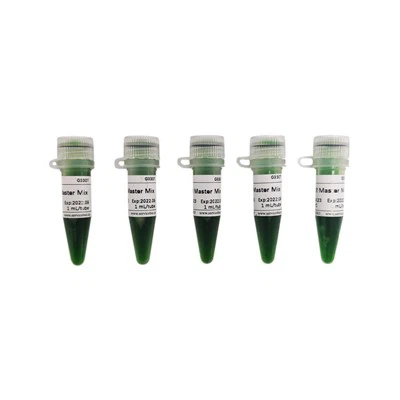 2 X LA PCR Master Mix