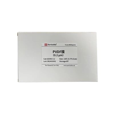 PVDF přenosové membrány（0.2μm, 5,5×8,5 cm）